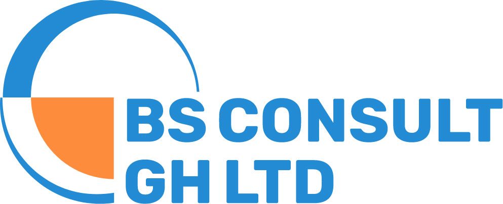 BS Consult Logo